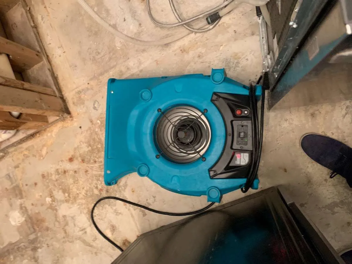 Air mover drying equipment for Mold Remediation & Removal in Hughson