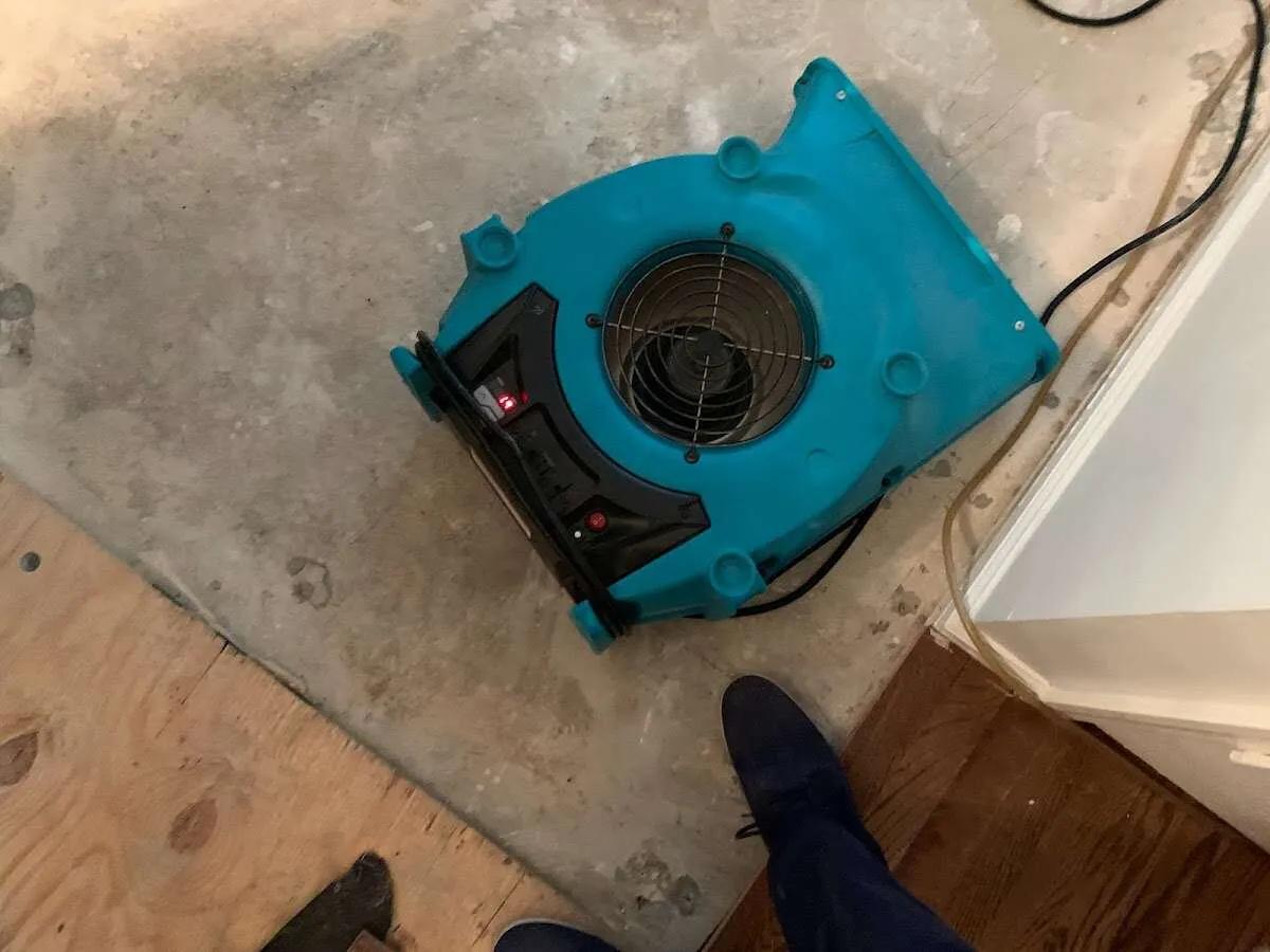 Air mover drying subfloor during Commercial Water Damage Restoration in Hughson